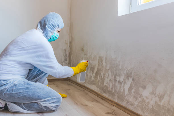 Licensed Bathroom Mold Removal service in Elizabeth City, NC - WQB Mold Removal