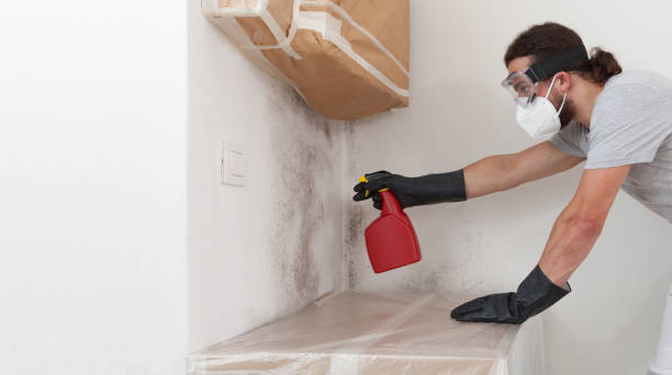 Professional Bathroom Mold Removal technician working in Elizabeth City, NC
