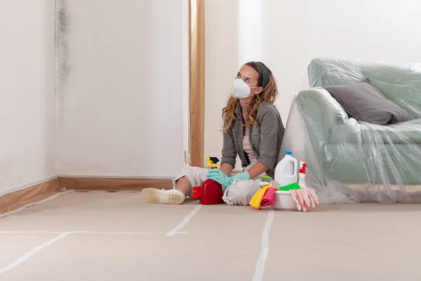 Reliable Bathroom Mold Removal contractor in Elizabeth City, NC by WQB Mold Removal