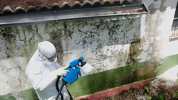 Top rated local Bathroom Mold Removal specialists in Elizabeth City, NC